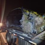 WhatsApp Image 2023-07-20 at 01.13.56