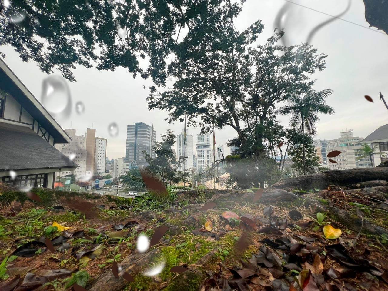 Plantão segurança pública