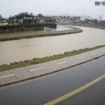 brusqueaovivo