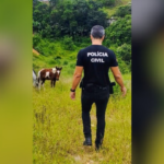 FOTO DIPLOMATA