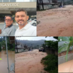 FOTO DIPLOMATA