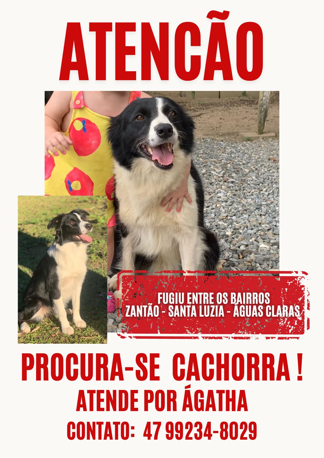 Plantão segurança pública