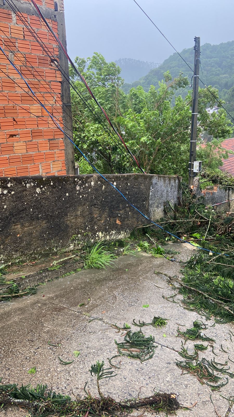 Plantão segurança pública
