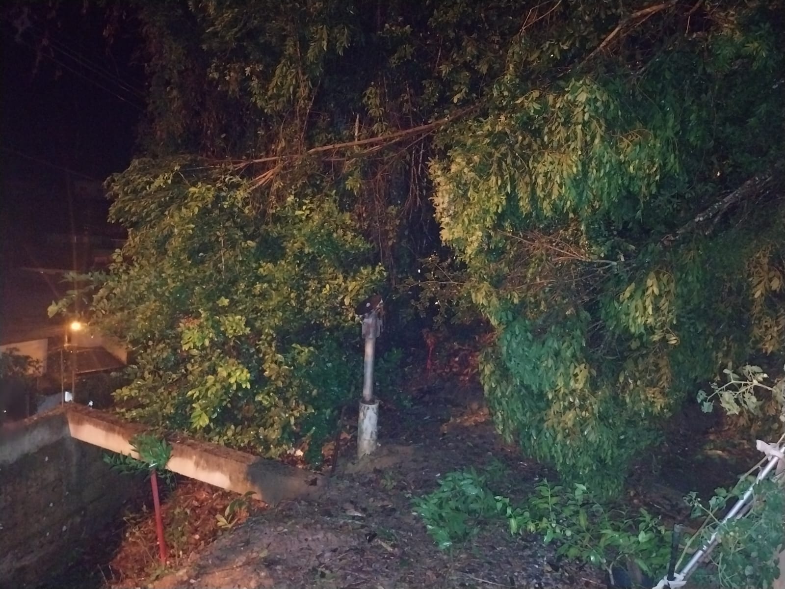 Plantão segurança pública