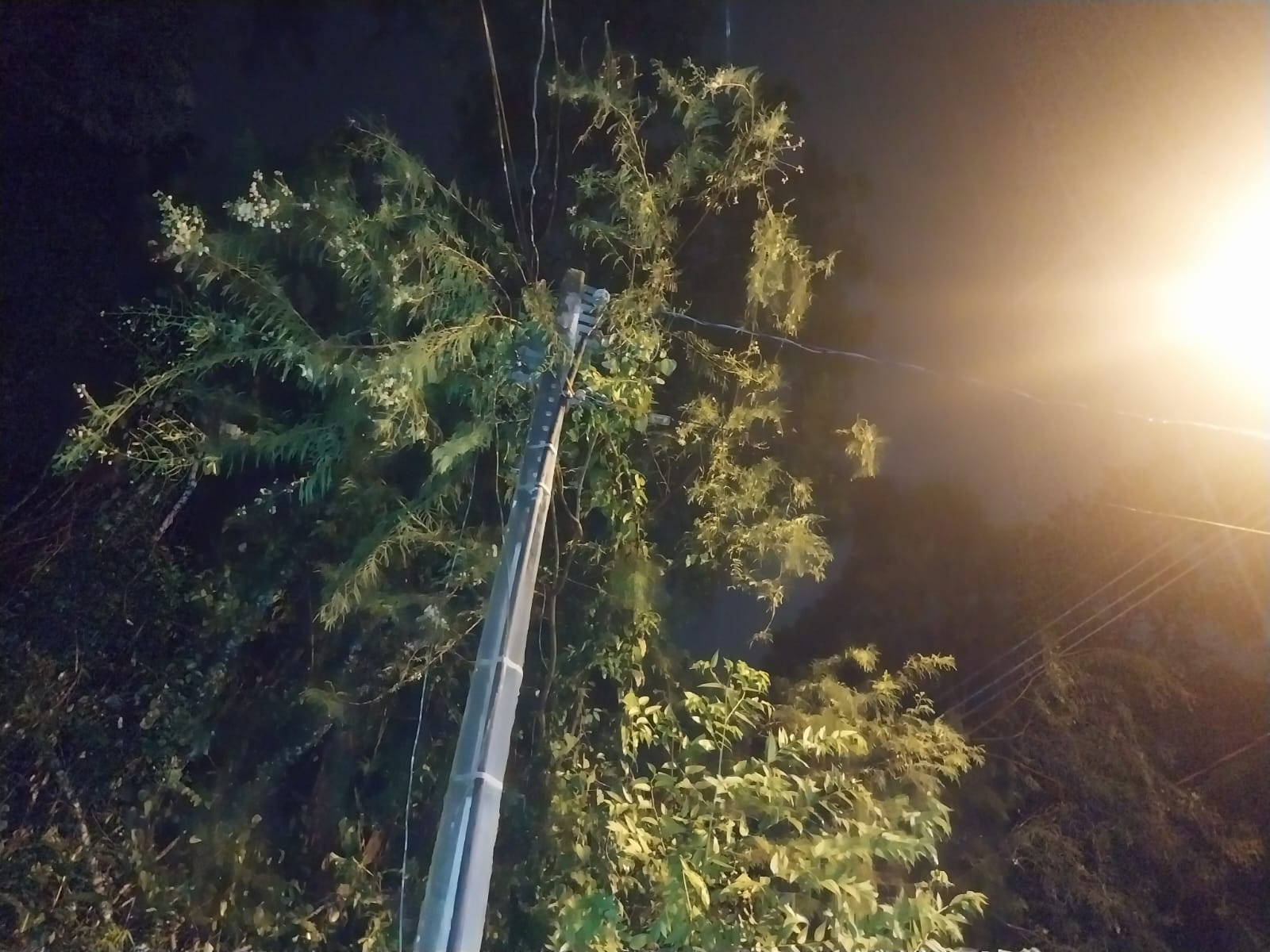 Plantão segurança pública