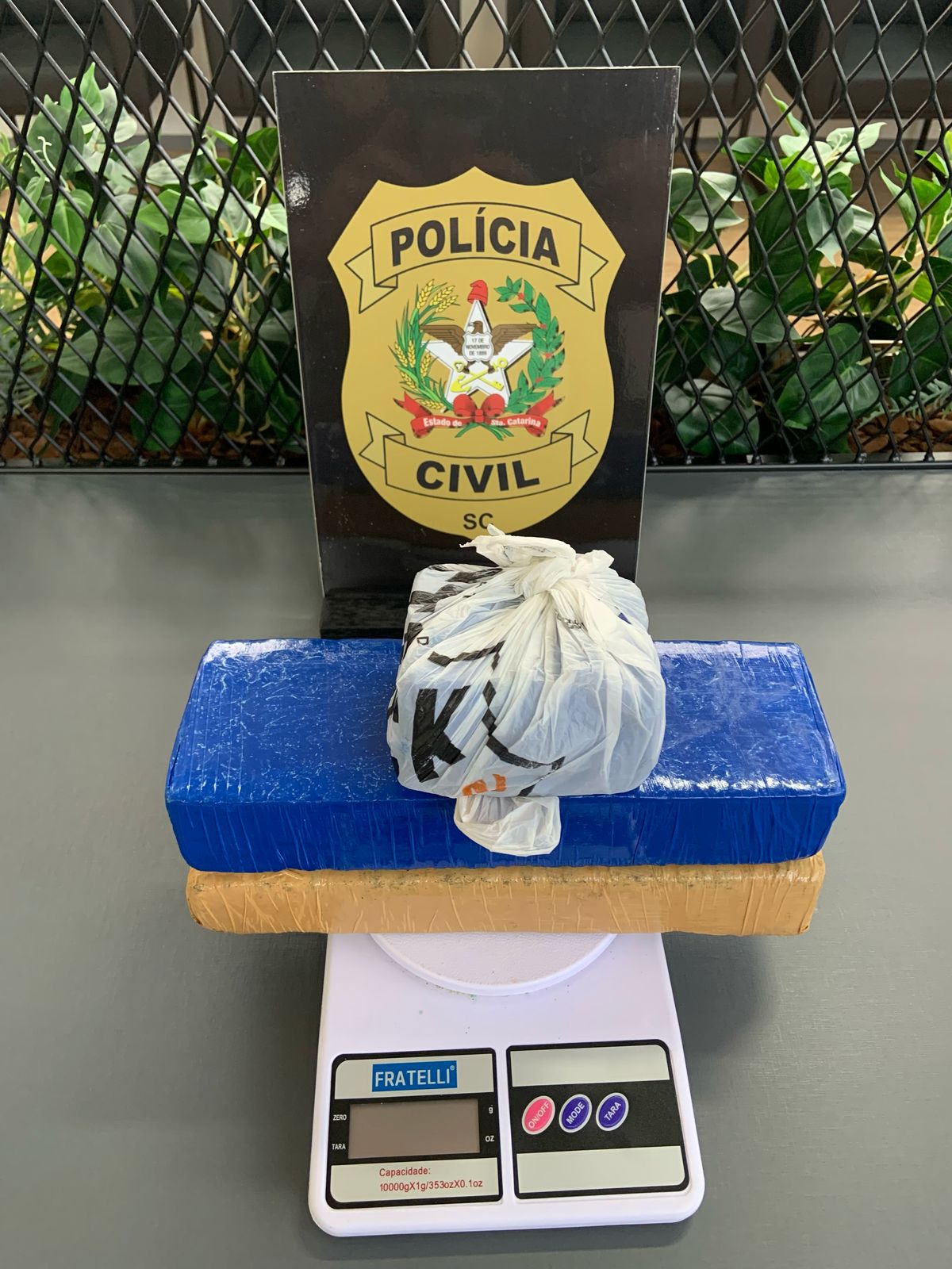 Plantão segurança pública