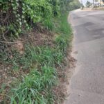 Morador expressa preocupação com situação de via, com desmoronamento de terra e árvore sobre a calçada