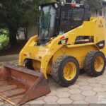bobcat
