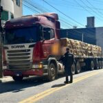 Caminhão Gustavo Halfpap