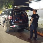 Polícia Civil prende traficantes