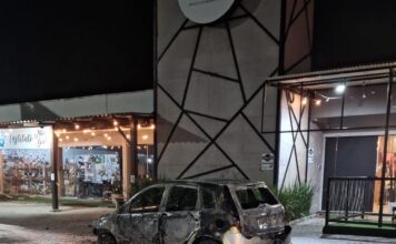 Carro é destruído por incêndio na Rodovia Antônio Heil