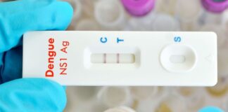 Brusque registra o primeiro caso de dengue de 2026 no bairro Steffen