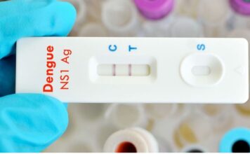 Brusque registra o primeiro caso de dengue de 2026 no bairro Steffen