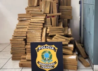 Vídeo: PRF apreende 657 quilos de maconha em veículo na BR-101, em Joinville