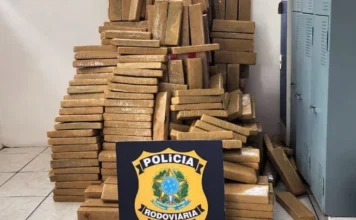 Vídeo: PRF apreende 657 quilos de maconha em veículo na BR-101, em Joinville