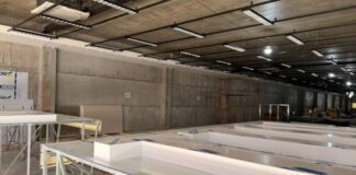 Pittol prepara retorno a Brusque com a maior loja de calçados da cidade