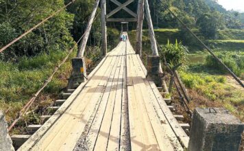 Ponte pênsil Carlos Decker terá interdições para manutenção em Brusque