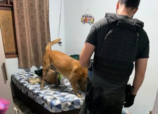 Operação Luxúria: sete são presos e suspeito morre em confronto em Itajaí