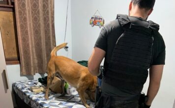 Operação Luxúria: sete são presos e suspeito morre em confronto em Itajaí