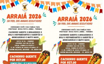 Da Hora: Arraiá 2026 em prol dos animais resgatados será realizado em Brusque