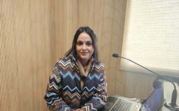 Sebrae/SC reforça atendimento para entrega da Declaração Anual do MEI