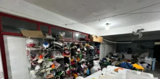 Operação “Fake Brand 2” combate pirataria e apreende grande volume de produtos falsificados em Brusque