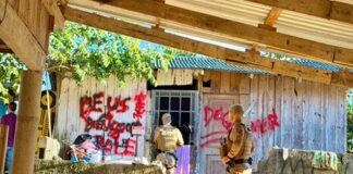 Operação conjunta prende cinco homens por tráfico de drogas em Brusque