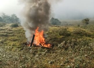 Piloto de helicóptero que caiu em Pomerode morre carbonizado