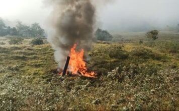 Piloto de helicóptero que caiu em Pomerode morre carbonizado