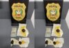 Polícia Civil prende suspeito por tráfico de drogas em Brusque