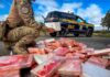 Vídeo: Carreta que seguia para Brusque é interceptada com quase 100 quilos de cocaína escondidos em compartimento secreto