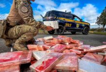 Vídeo: Carreta que seguia para Brusque é interceptada com quase 100 quilos de cocaína escondidos em compartimento secreto