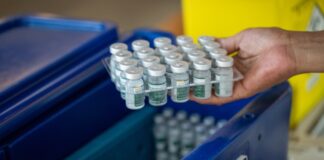 Brusque recebeu 360 doses da vacina da dengue do Butantan e segue orientação de monitoramento do Ministério da Saúde