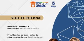 Brusque promove ciclo de palestras sobre proteção e bem-estar animal nesta segunda-feira