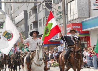 Desfile Cívico e cuca gigante marcam as comemorações de 166 anos de Brusque