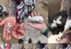 Polícia Civil realiza ação contra o tráfico de drogas no bairro Limeira Alta