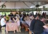 Temperô na Praça reúne público com sabores do Cerrado e da Amazônia