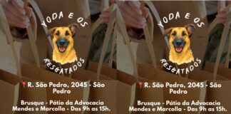 ONG Yoda e os Resgatados, em parceria com Desapegos Literários, promove bazar beneficente para ações de proteção aos animal