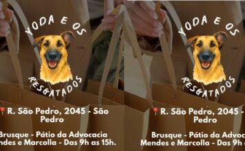 ONG Yoda e os Resgatados, em parceria com Desapegos Literários, promove bazar beneficente para ações de proteção aos animal
