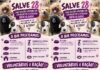 Mobilização busca voluntários e doações para ajudar 28 cães em Brusque
