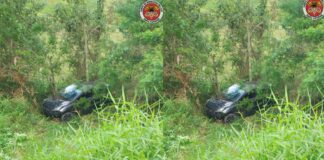 Homem fica ferido após queda de veículo em ribanceira em Guabiruba