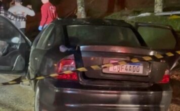 Jovem de 21 anos morre após carro bater contra palmeira na SC-108