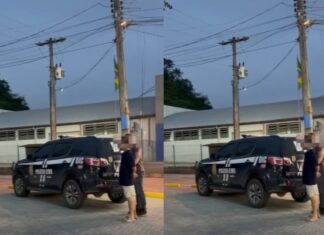 Polícia Civil prende homem por tráfico de drogas em Brusque