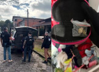 Polícia Civil realiza operação contra o crime organizado em seis municípios de Santa Catarina