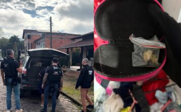 Polícia Civil realiza operação contra o crime organizado em seis municípios de Santa Catarina