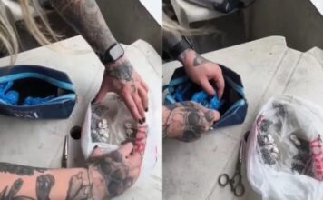 Polícia Civil realiza operação contra o tráfico de drogas