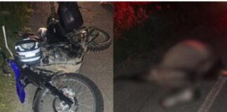 Morre no hospital homem que ficou ferido após atingir cavalo solto na rodovia Antônio Heil