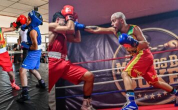 Brusque recebe Copa Santa Catarina de Boxe com participação de atletas da cidade